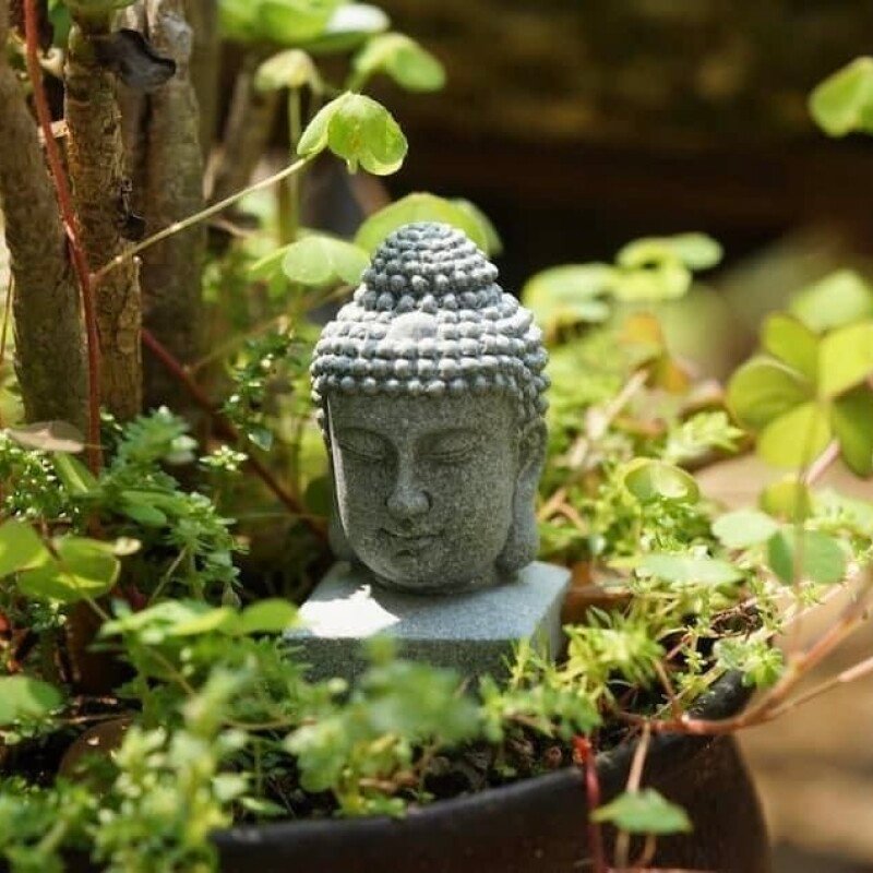 Buddha Head
