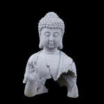 Blessing Buddha